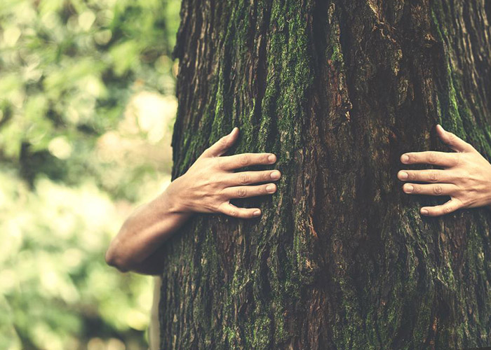 5 STEPS TO BE MORE SUSTAINABLE IN OUR DAY TO DAY